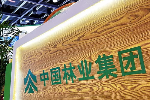 中林集团子公司商票逾期风波加剧，原董事长遭起诉，旅游业务何去何从？