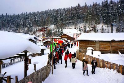 黑龙江强化旅游市场执法，对强迫消费、欺客宰客行为实行上限处罚